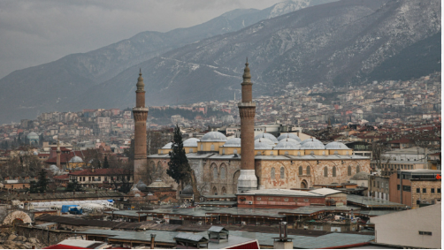 Bursa